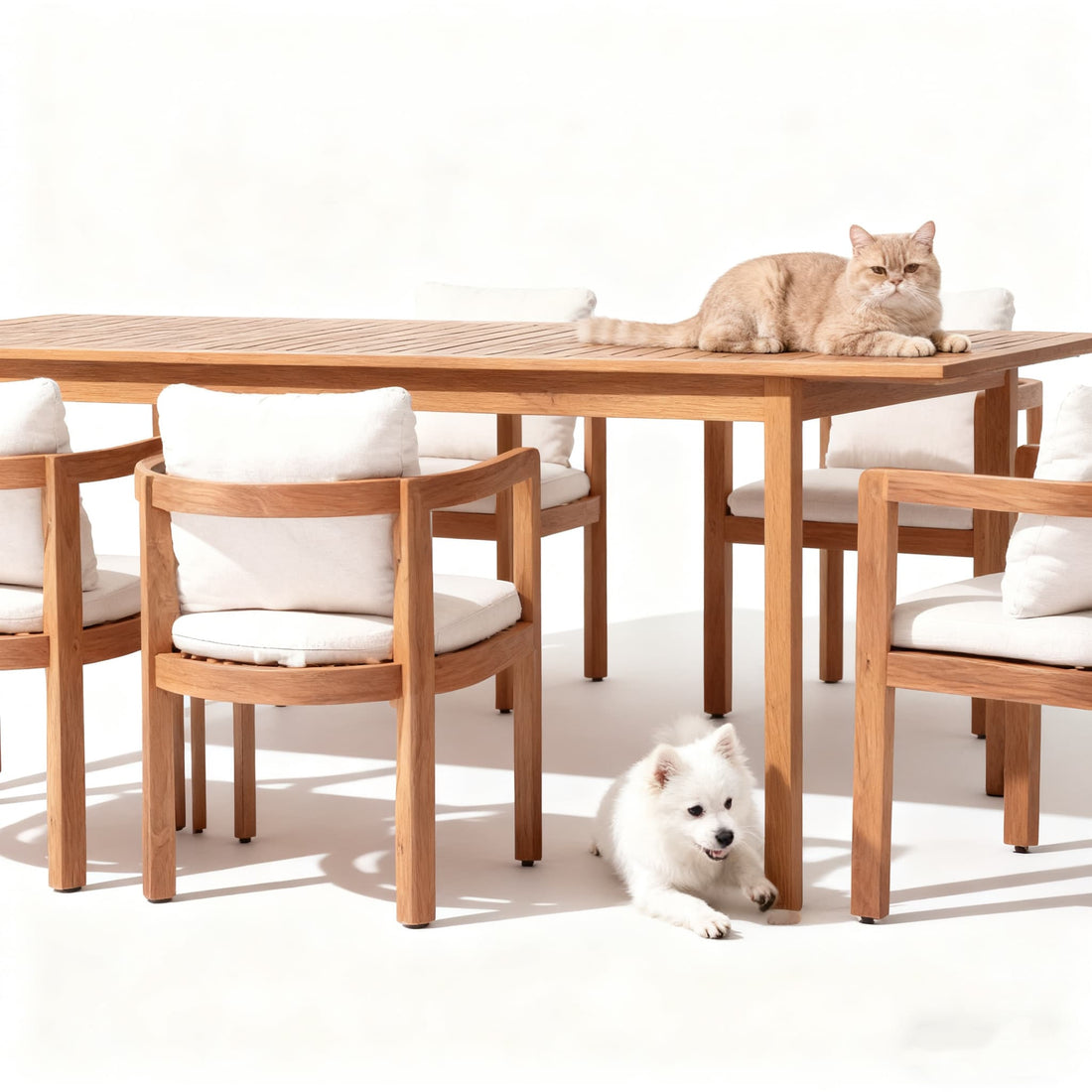 What's the Pet-Friendly Outdoor Furniture